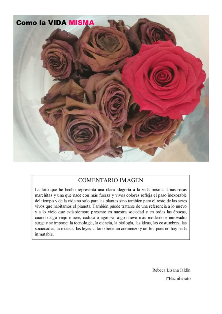 Lizana_Jaldin_Rebeca_Concurso_Foto-Filosofía_jpg (1) (1)