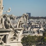 15f gárgolas o quimera sXIX - Notre Dame - París