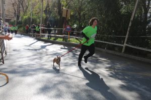 IMG_5427